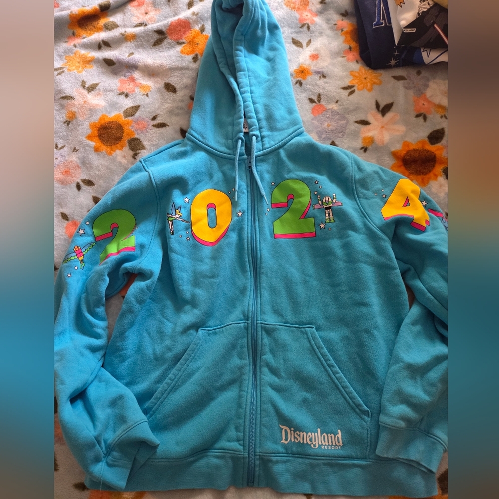Disneyland 2024 Celebration Zip Hoodie Size XL